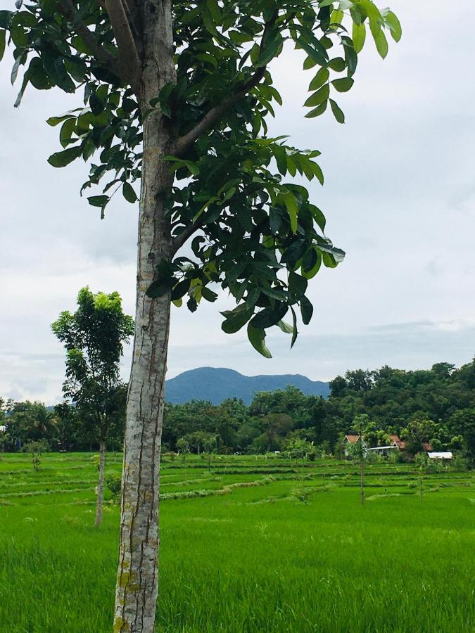 Tommy Homestay Plambi 외부 사진