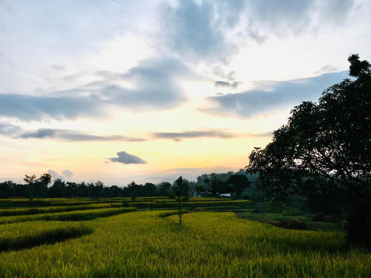 Tommy Homestay Plambi 외부 사진