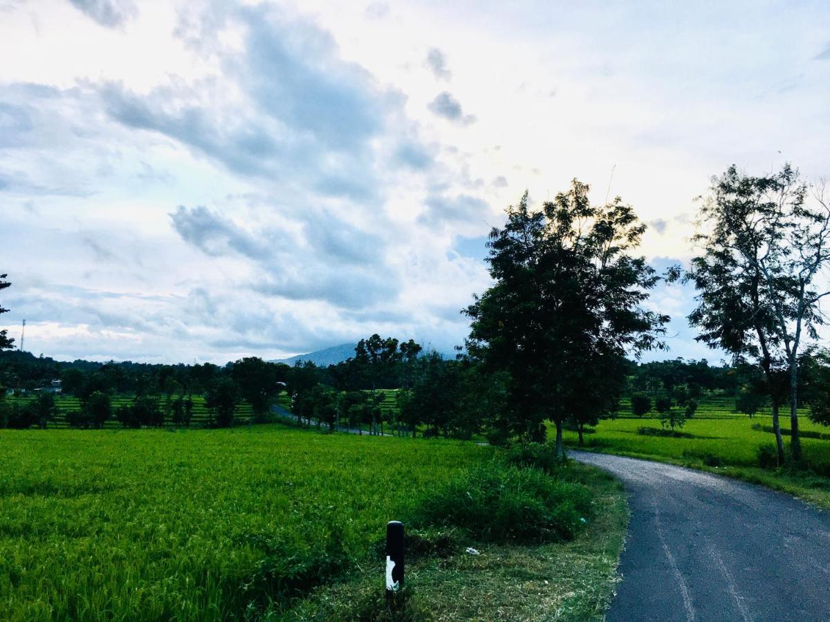 Tommy Homestay Plambi 외부 사진