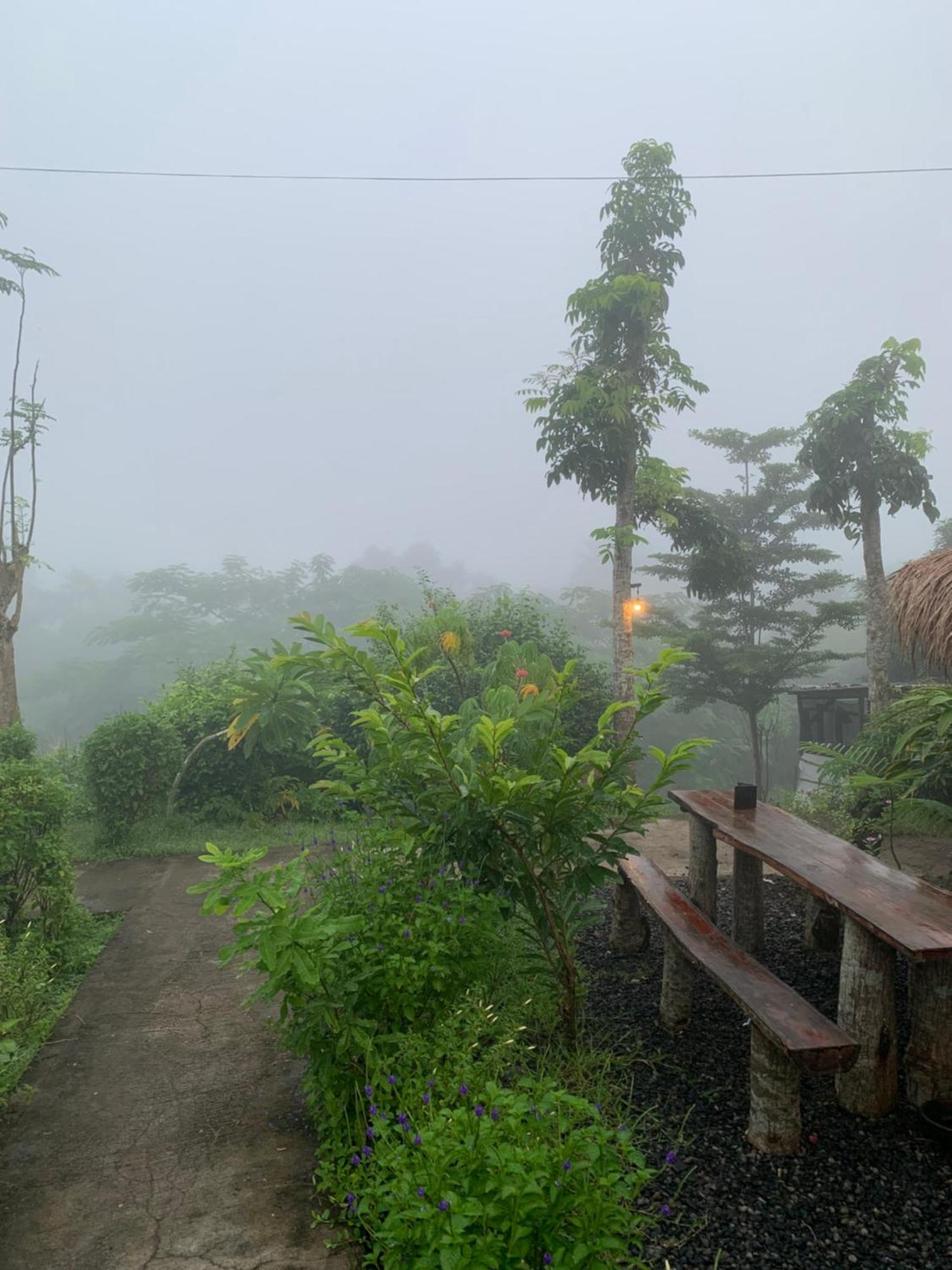 Tommy Homestay Plambi 외부 사진